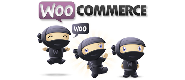 DDLX propose désormais des E commerces WooCommerce