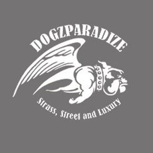 Collier pour chien dogz Paradize
