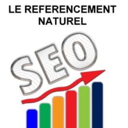 seo 300x300 1 264x264 264x264 1